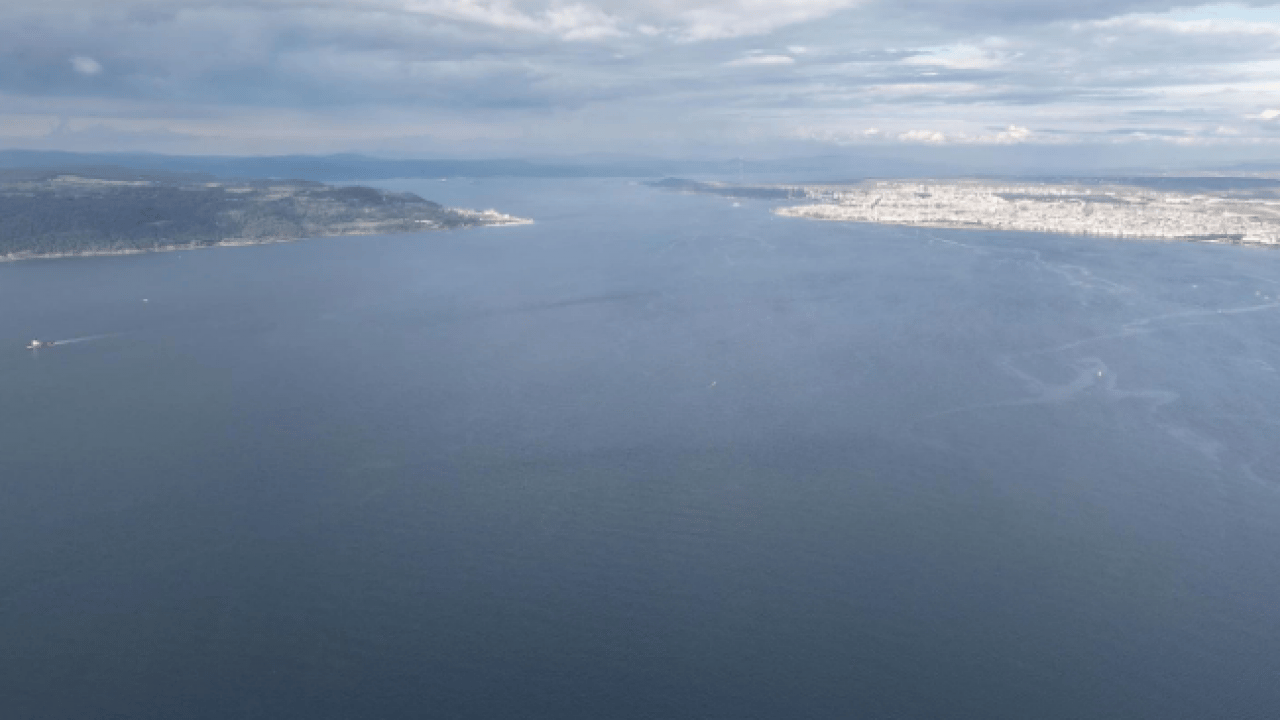 Foto - Nesli tehlike altındaki tür yeniden yetişiyor