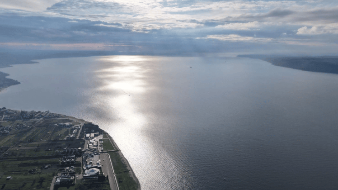 Foto - Nesli tehlike altındaki tür yeniden yetişiyor