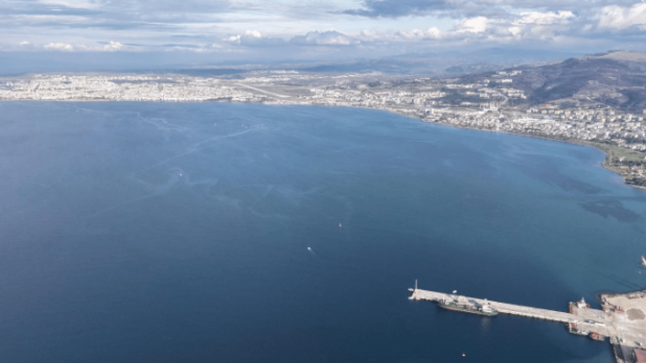 Foto - Nesli tehlike altındaki tür yeniden yetişiyor