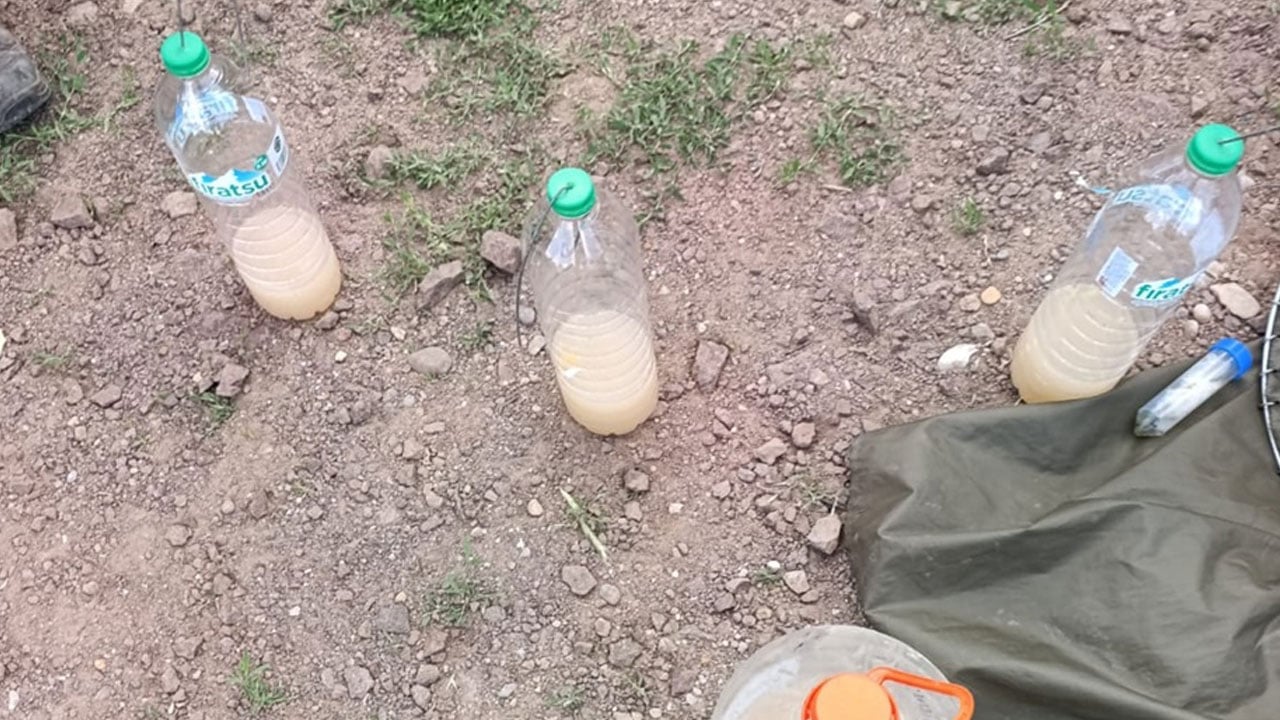 Foto - Nesli tehlikedeki salebi kopardılar! Servet değerinde ceza yediler