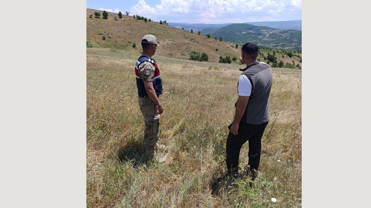 Foto - Nesli tehlikedeki salebi kopardılar! Servet değerinde ceza yediler