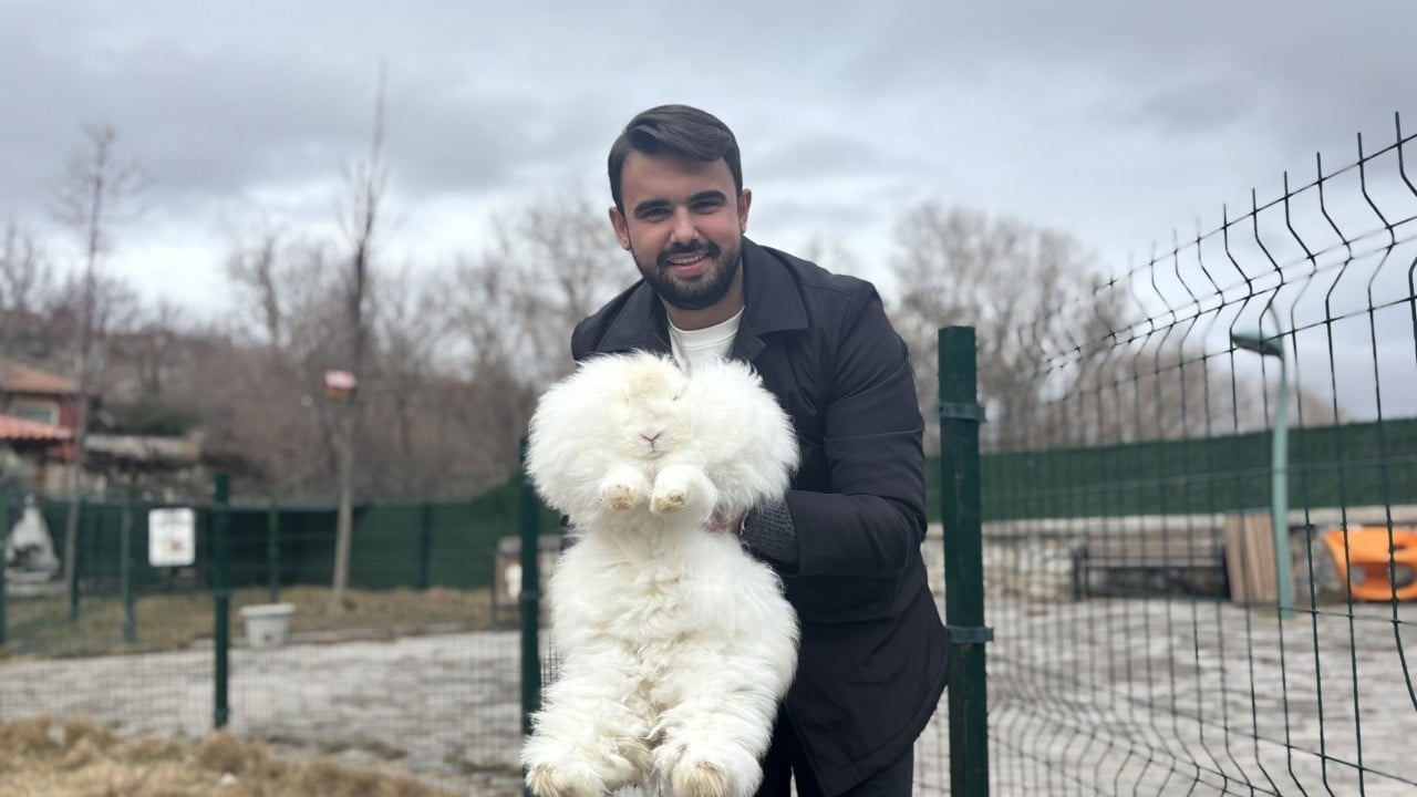 Foto - Nesli tükenen Ankara tavşanı geri döndü