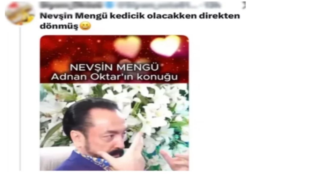 Foto - Nevşin Mengü çok ama çok fena patladı! "Kedicik" yorumu resmen çıldırttı