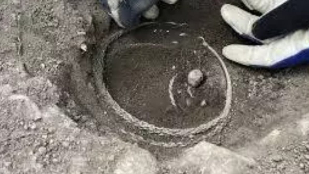 Neye niyet neye kısmet: Solucan ararken bakın ne buldu!