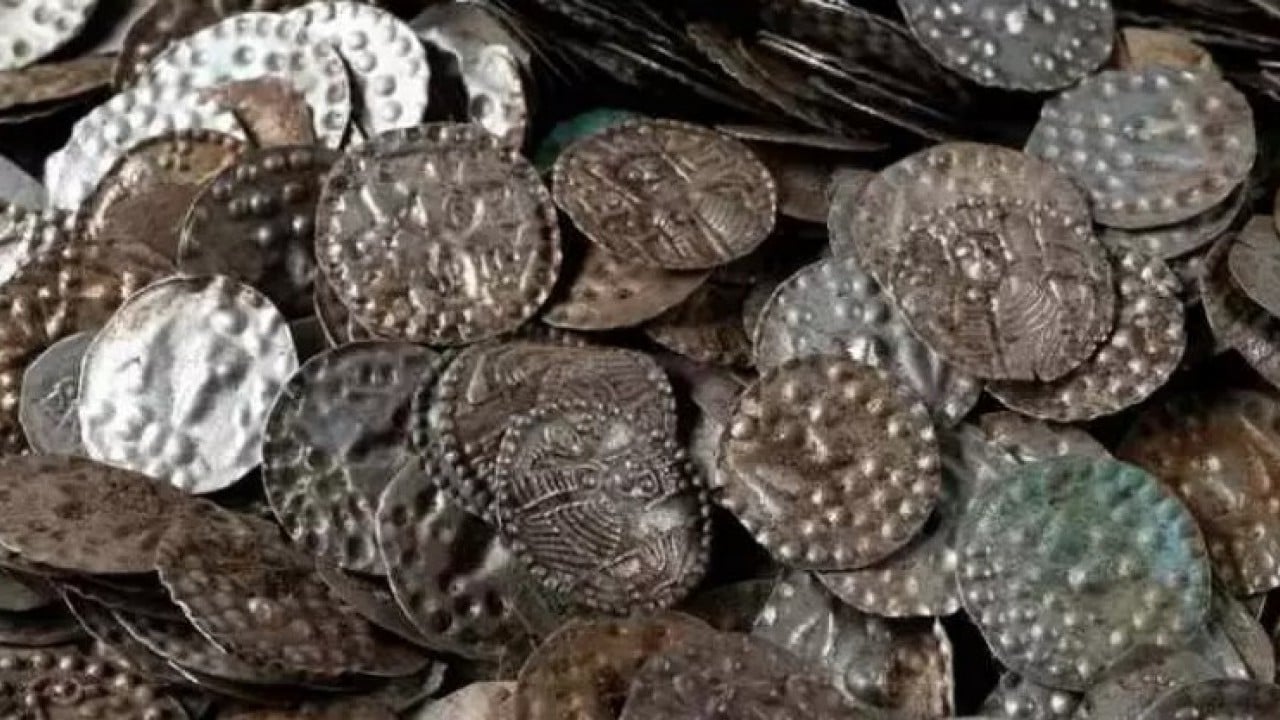 Foto - Neye niyet neye kısmet: Solucan ararken bakın ne buldu!