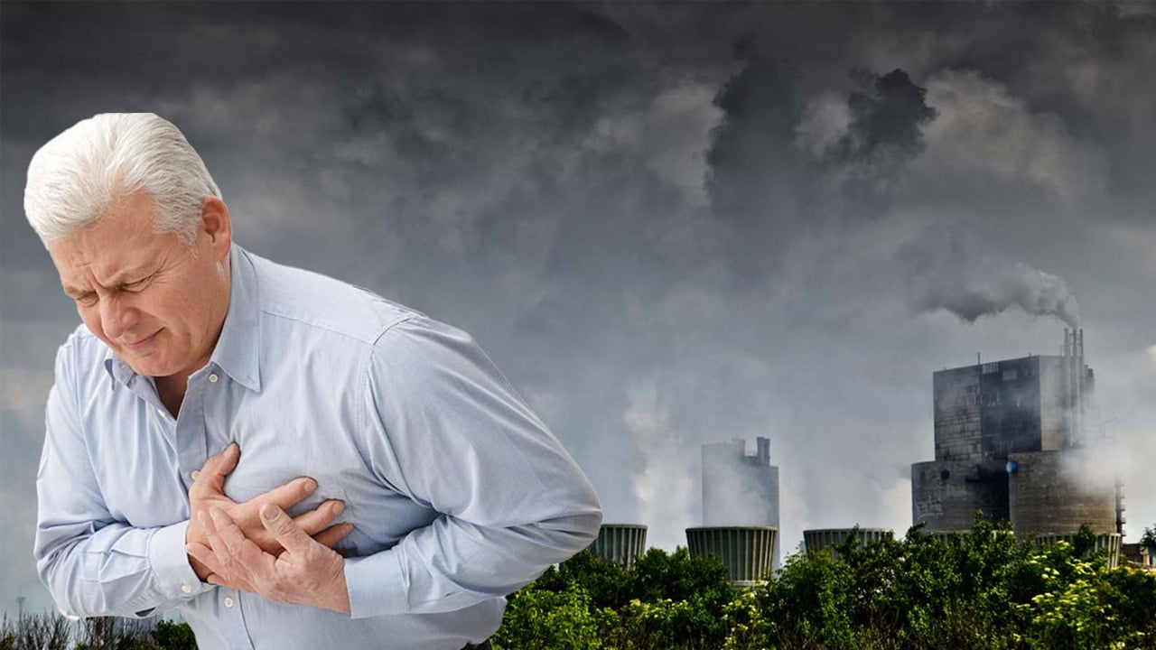 Foto - Neye yol açtığını duyunca inanamayacaksınız: Hava kirliliği deyip geçmeyin