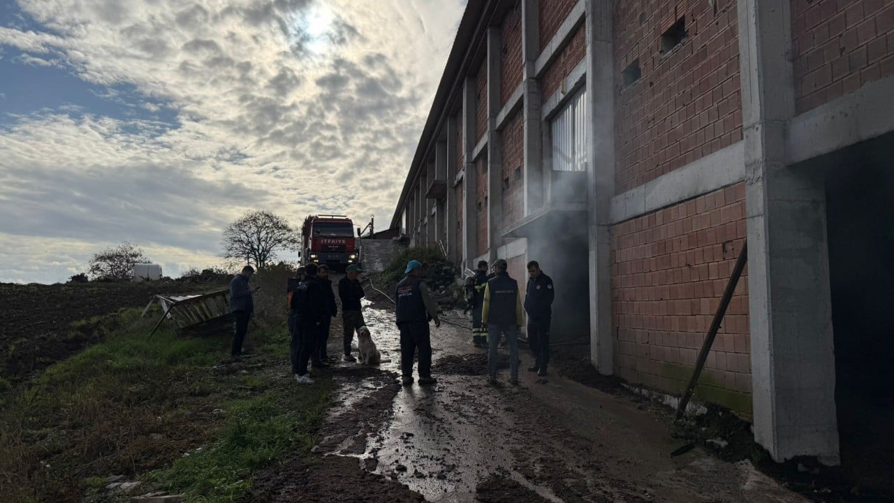 Neyse ki korkulan olmadı... Çiftlikte korkutan yangın