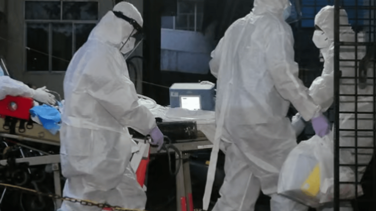 Foto - Ölüm oranı korkuttu: İşte Nipah virüsünün 3 belirtisi!