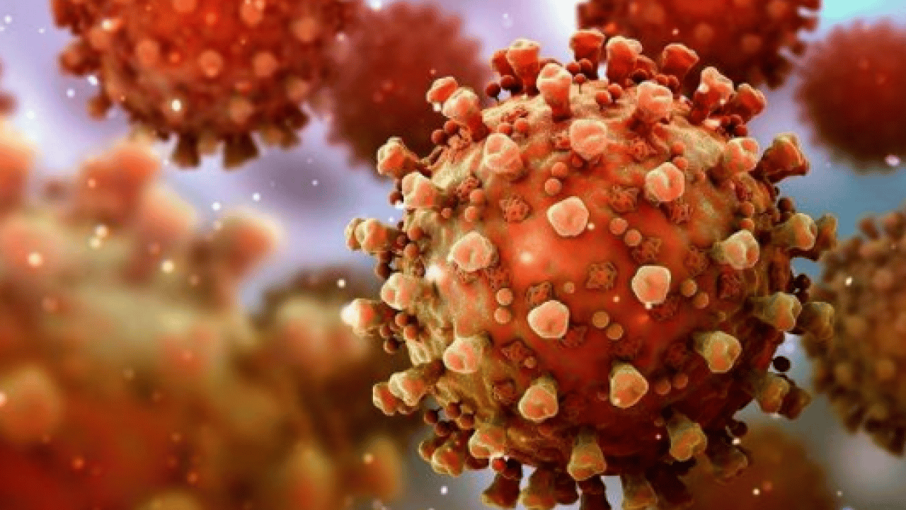 Foto - Ölüm oranı korkuttu: İşte Nipah virüsünün 3 belirtisi!