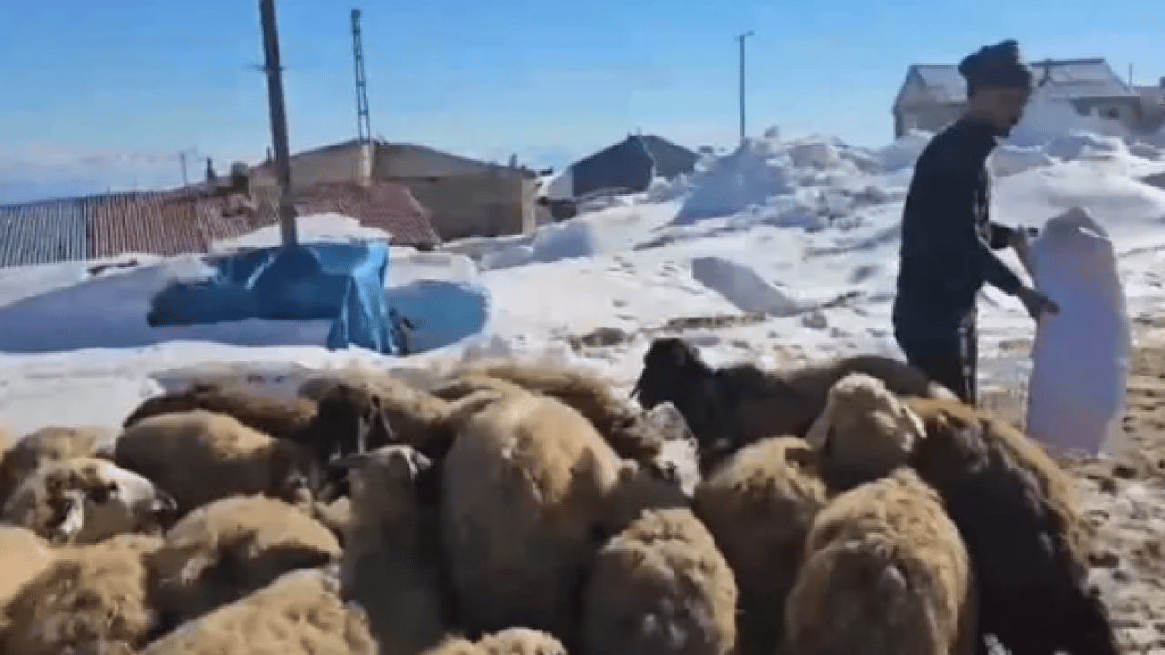 Foto - Nisan ayında kara gömüldüler: Beyaz örtü 3 metreyi aştı!
