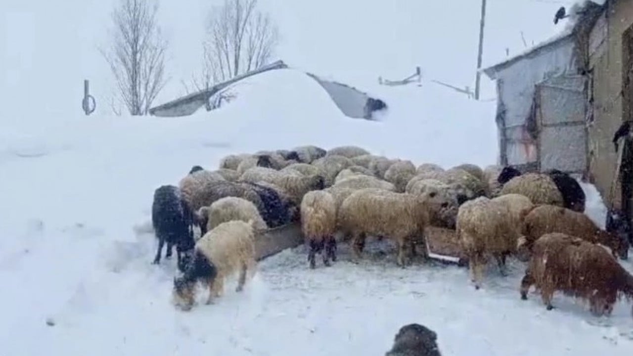 Foto - Nisan ayında şoke eden manzara! Kar kalınlığı insan boyutunu geçti
