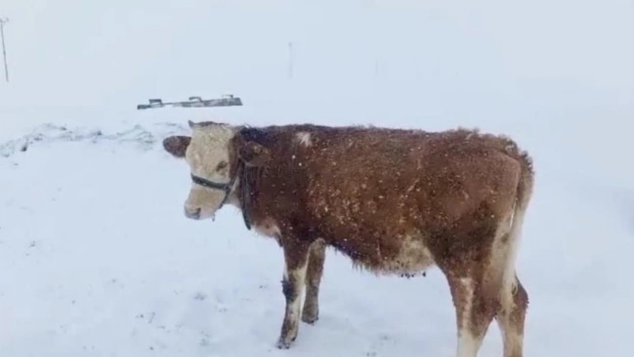 Foto - Nisan ayında şoke eden manzara! Kar kalınlığı insan boyutunu geçti