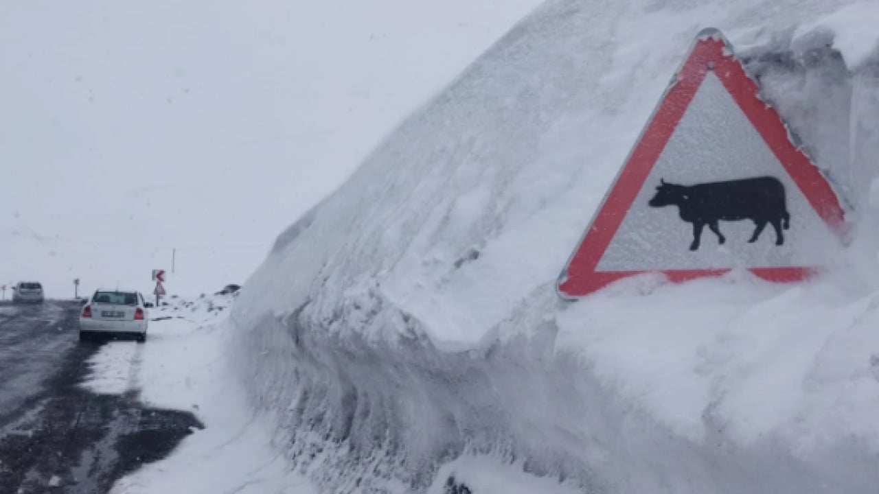 Foto - Nisan’da kış geri döndü! Her yer beyaza büründü