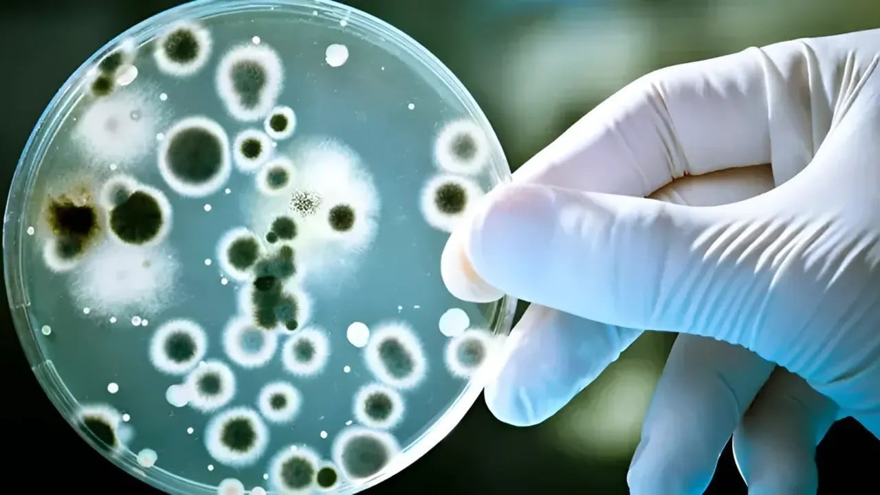 Foto - Nükleer atıktan kanser ilacı yapacaklar