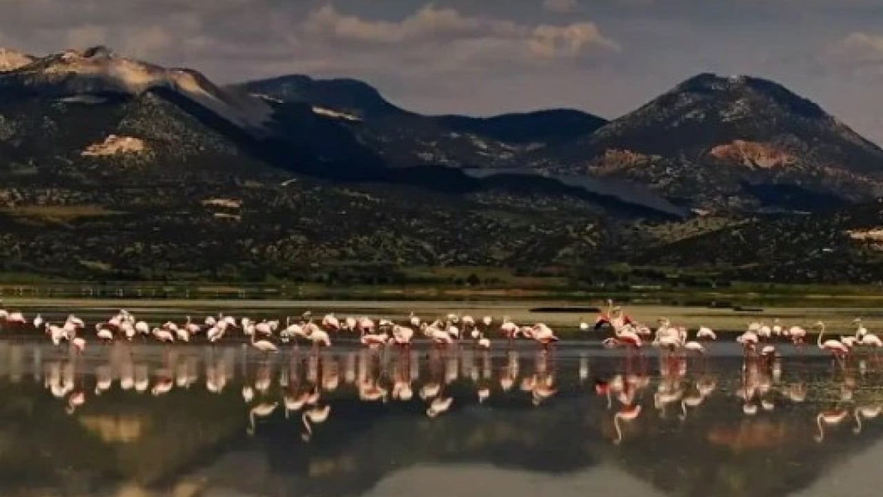 Foto - Eski halinden eser kalmadı: İki yıl önce flamingoları ağırlıyordu!