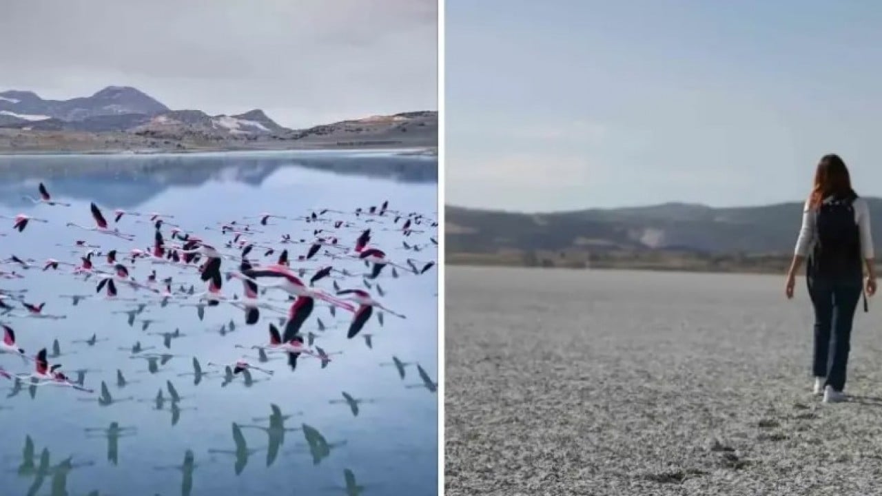 Foto - Eski halinden eser kalmadı: İki yıl önce flamingoları ağırlıyordu!