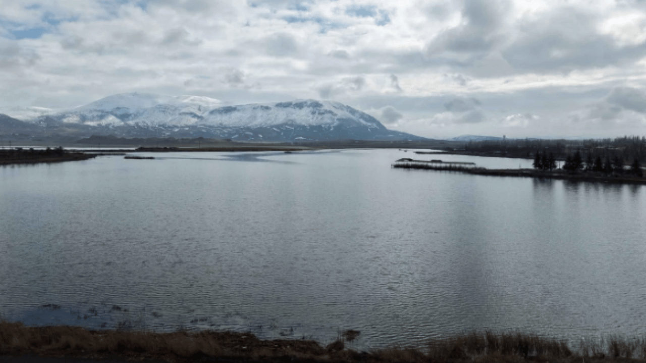 Foto - O göl geçen sene kurumuştu! Bu yıl yüzde yüz doldu