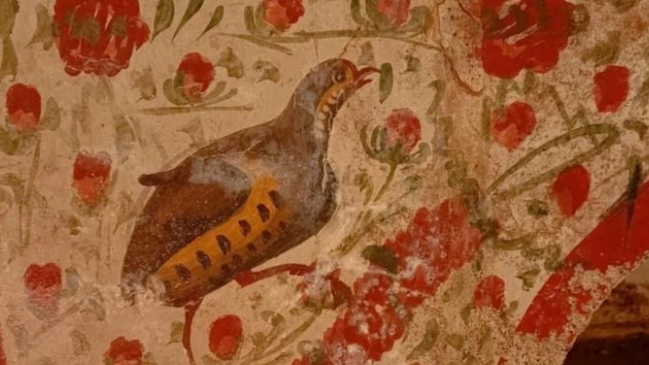 Foto - O ilçemizde ortaya çıktı! Hem Türkiye hem de dünya açısından çok önemli