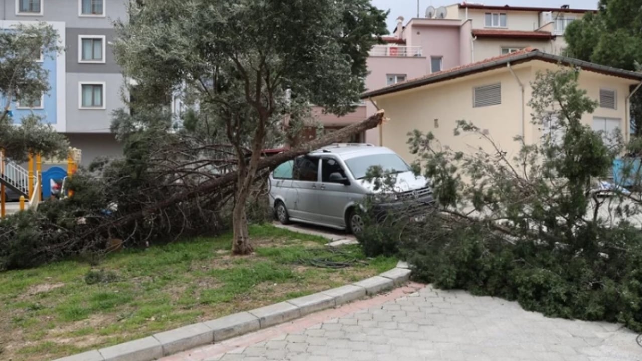 Foto - O ilde hayat felç oldu: Ağaçlar devrildi, otomobiller zarar gördü!