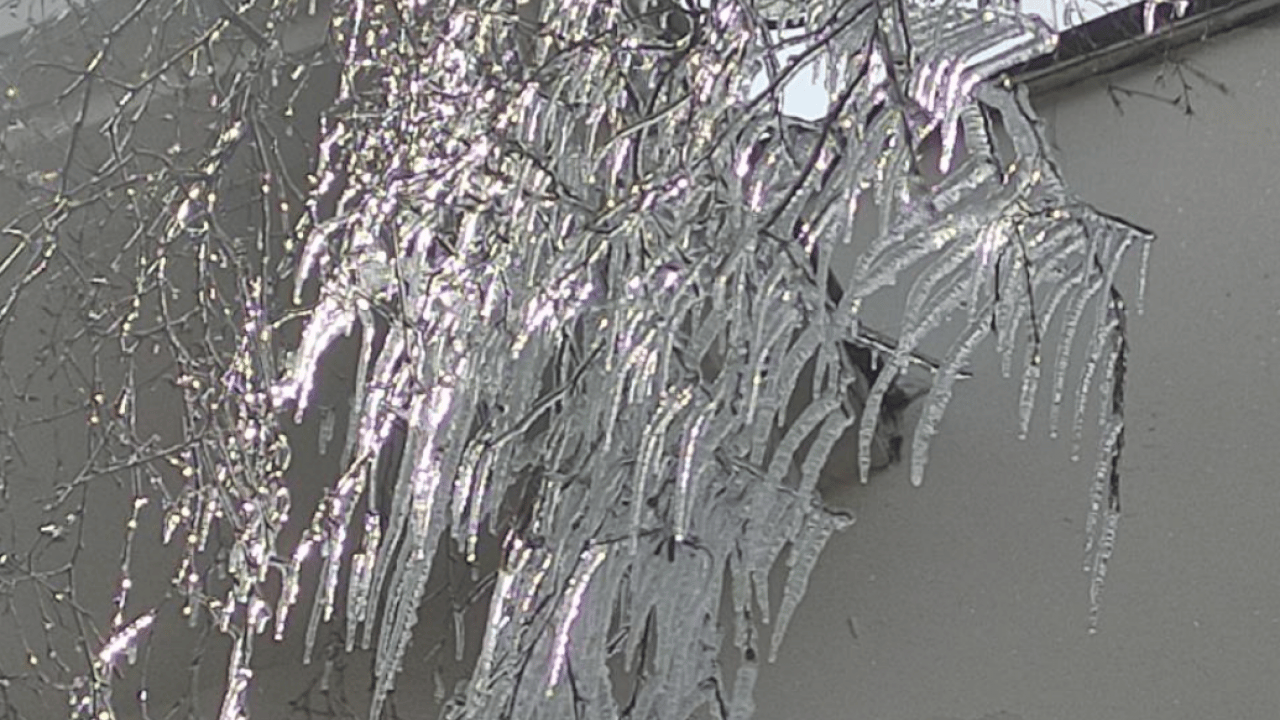 O ilimiz buz kesti! Buz kesitleri görsel şölen oluşturdu