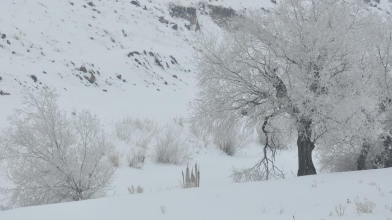 Foto - O ilimiz buz kesti! Dışarı çıkmak can yakıyor! Soğukluk kirpik dondurdu