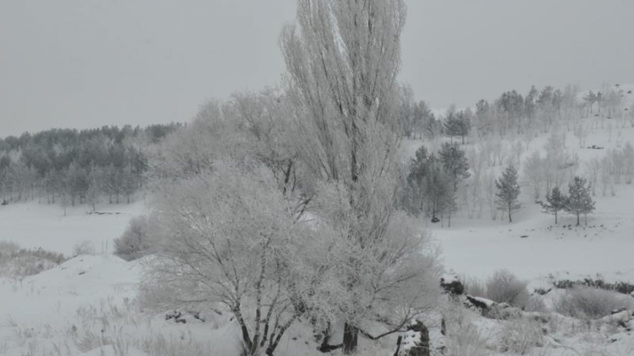 Foto - O ilimiz buz kesti! Dışarı çıkmak can yakıyor! Soğukluk kirpik dondurdu