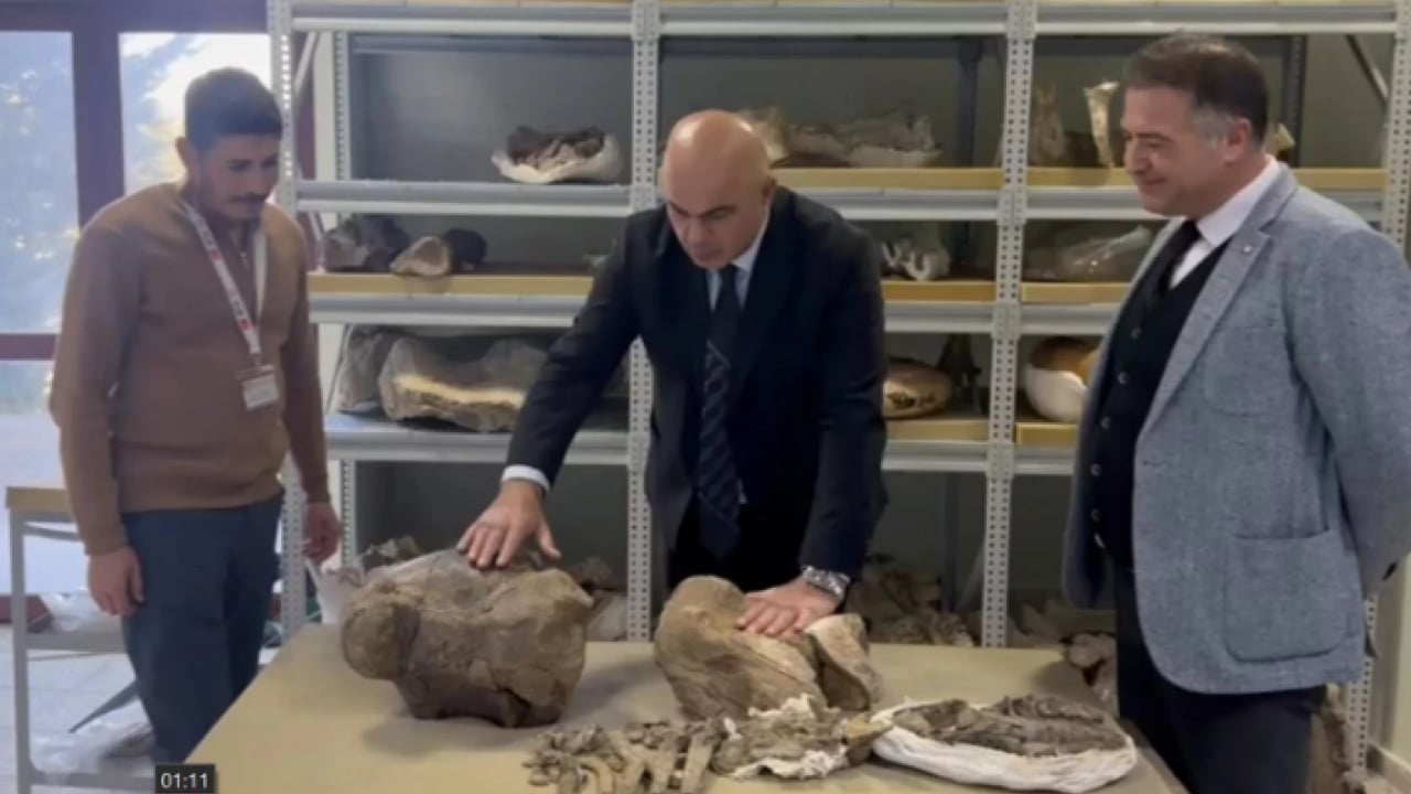 Foto - O ilimizde 30 milyon yıllık keşif! Dünyanın gelmiş geçmiş en büyüklerinden biri