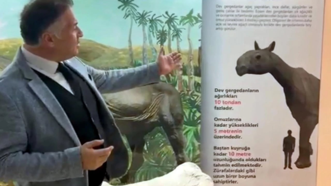 Foto - O ilimizde 30 milyon yıllık keşif! Dünyanın gelmiş geçmiş en büyüklerinden biri