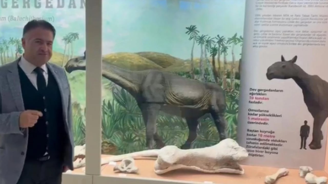 Foto - O ilimizde 30 milyon yıllık keşif! Dünyanın gelmiş geçmiş en büyüklerinden biri