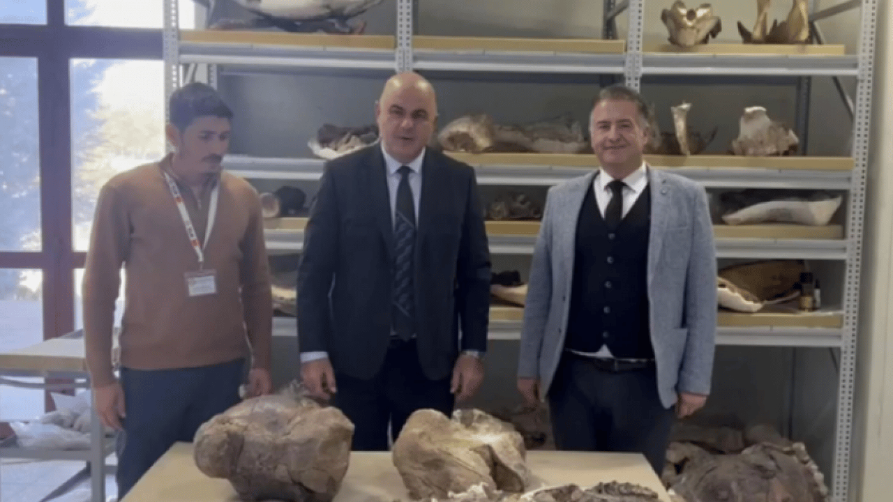 O ilimizde 30 milyon yıllık keşif! Dünyanın gelmiş geçmiş en büyüklerinden biri