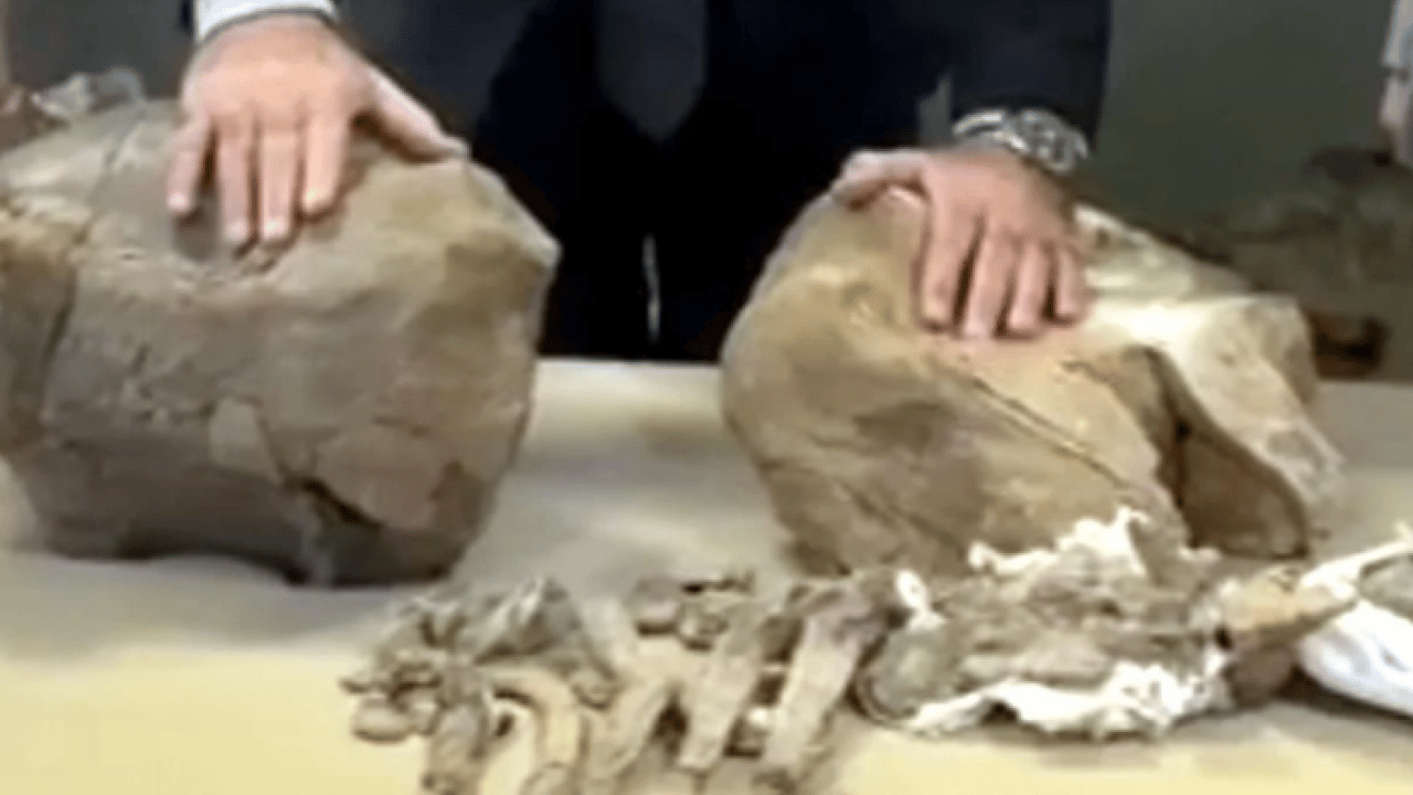 Foto - O ilimizde 30 milyon yıllık keşif! Dünyanın gelmiş geçmiş en büyüklerinden biri