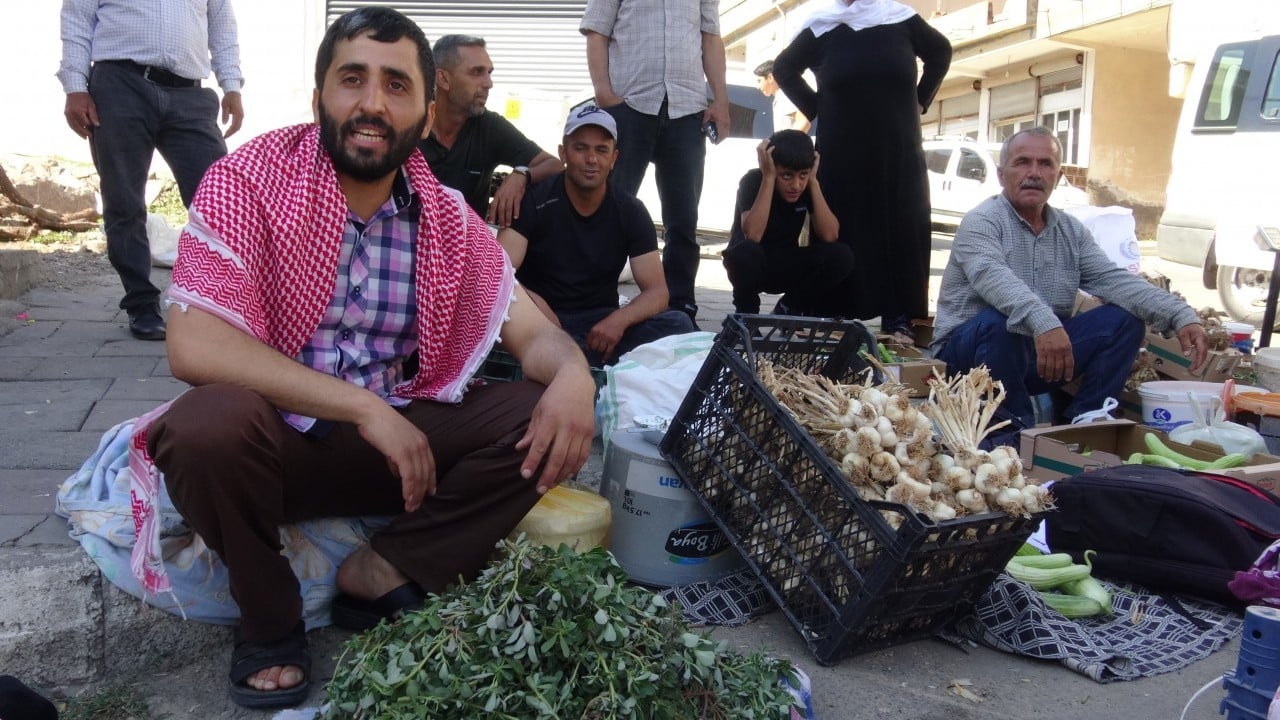 Foto - O ilimizde doğal şifa mesaisi: Bahçelerden toplanan semizotu hem sağlık hem geçim kaynağı 