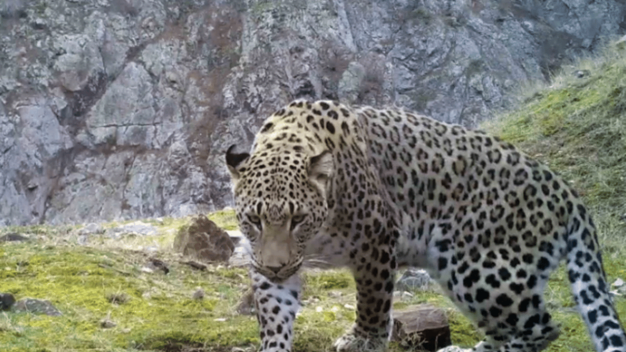 O ilimizde fotoğraflandı! Avlamanın cezası tam 45 milyon TL