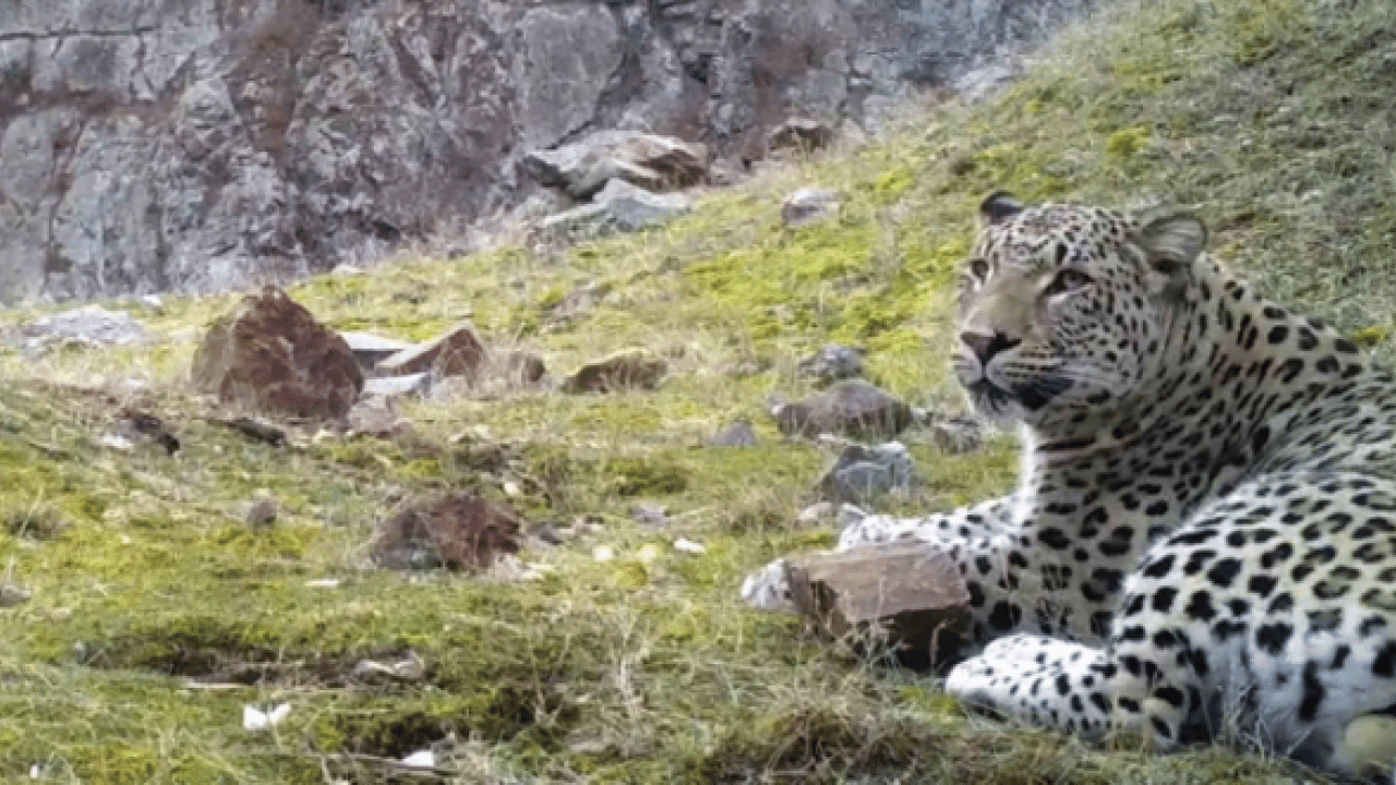 Foto - O ilimizde fotoğraflandı! Avlamanın cezası tam 45 milyon TL