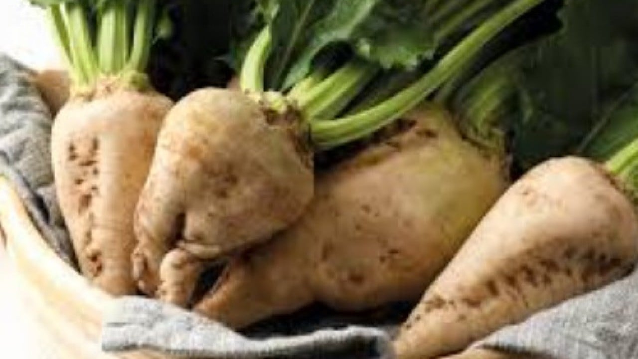 Foto - O ilimizde hasat edildi! Tam 24 kiloluk görenleri şoke etti