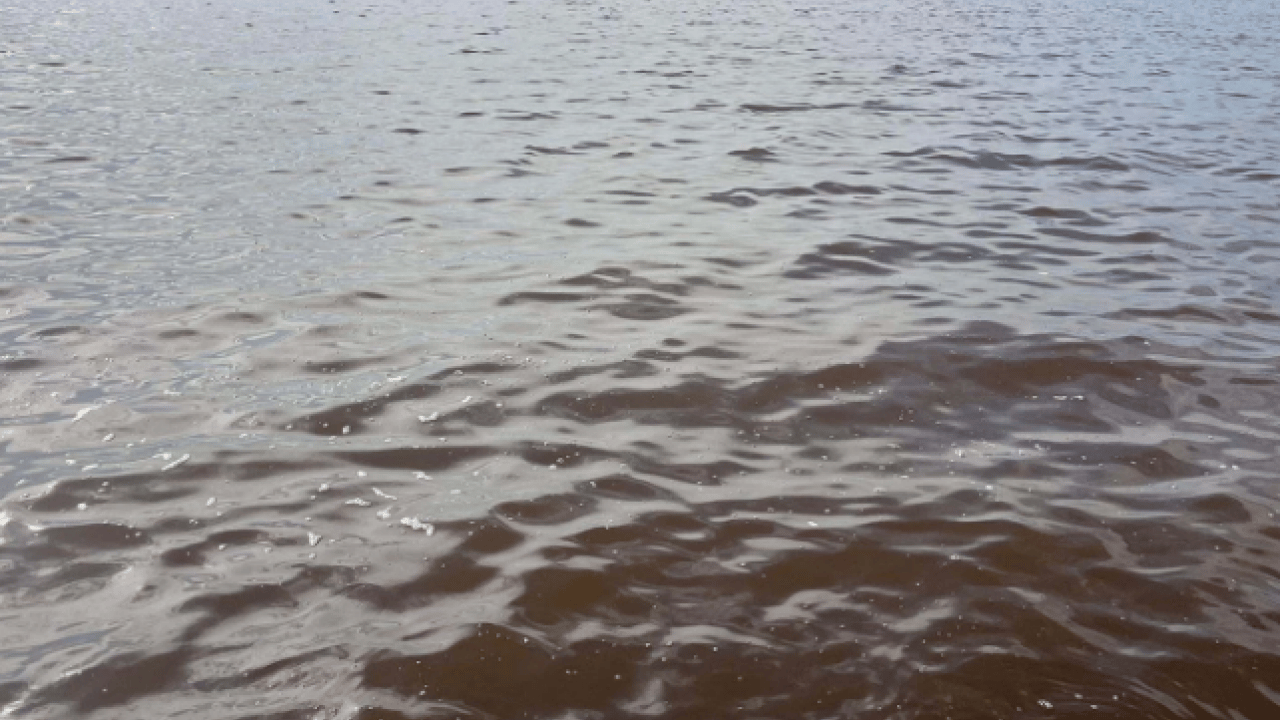 Foto - O ilimizde korkutan görüntü! Deniz kahverengiye döndü