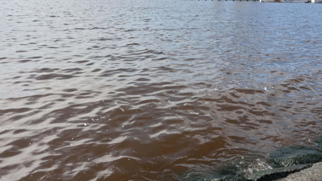 Foto - O ilimizde korkutan görüntü! Deniz kahverengiye döndü
