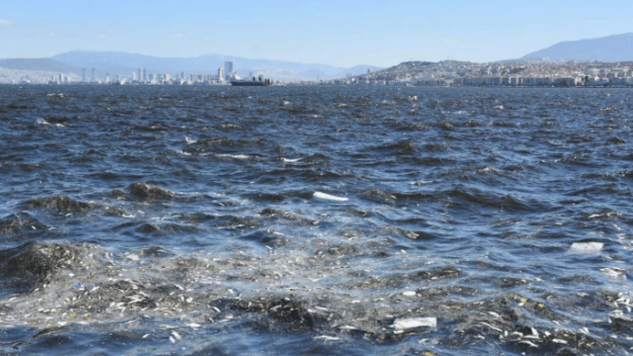 Foto - O ilimizde korkutan görüntü! Deniz kahverengiye döndü
