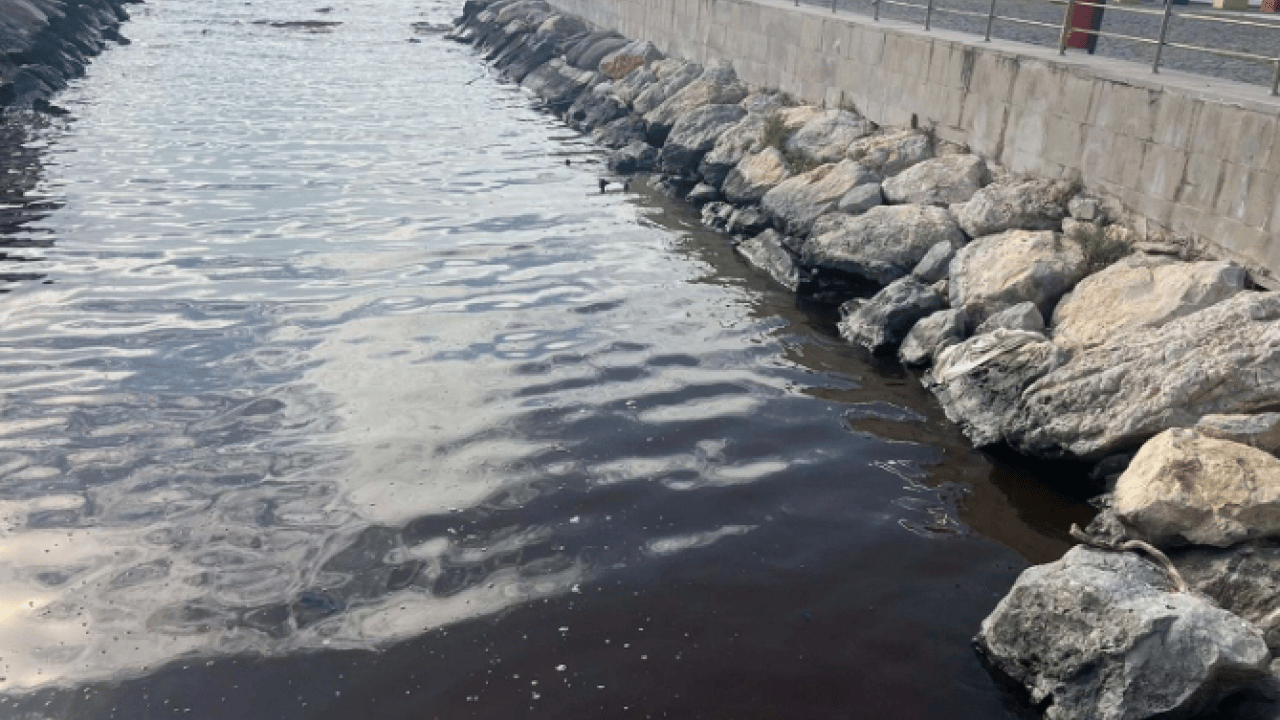 Foto - O ilimizde korkutan görüntü! Deniz kahverengiye döndü