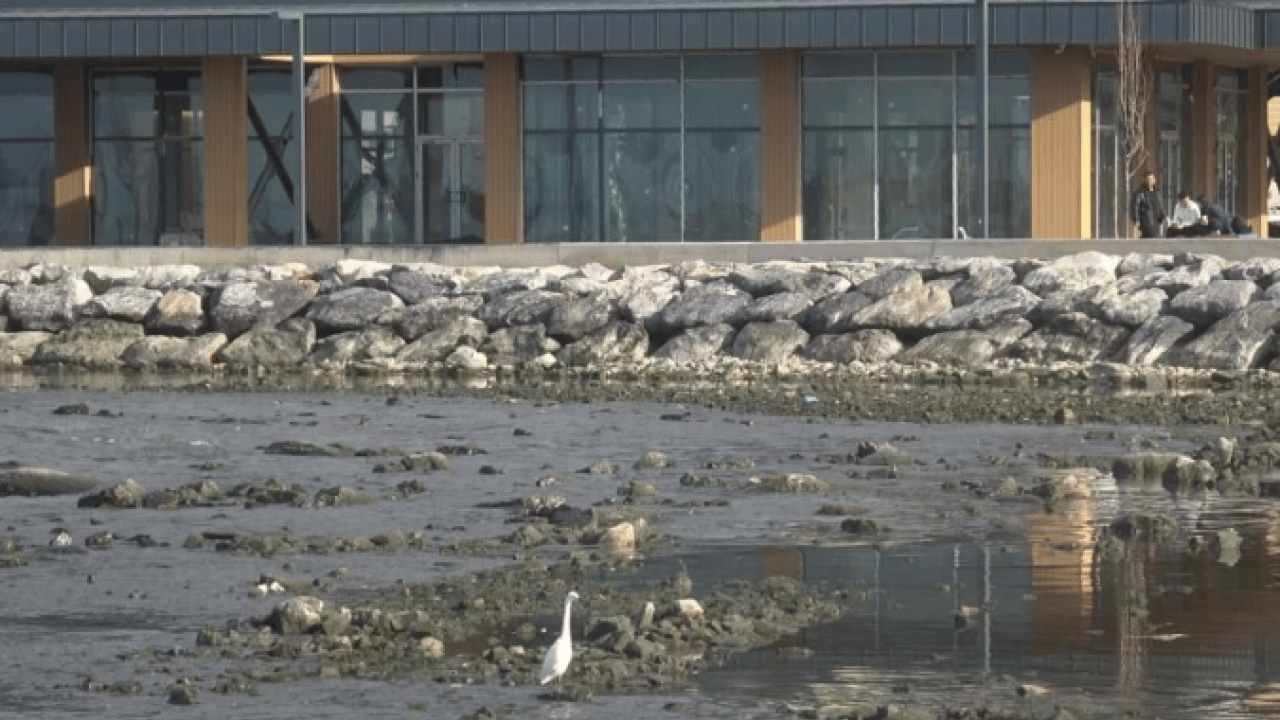 Foto - O ilimizde korkutan görüntü! Deniz suyu metrelerce çekildi