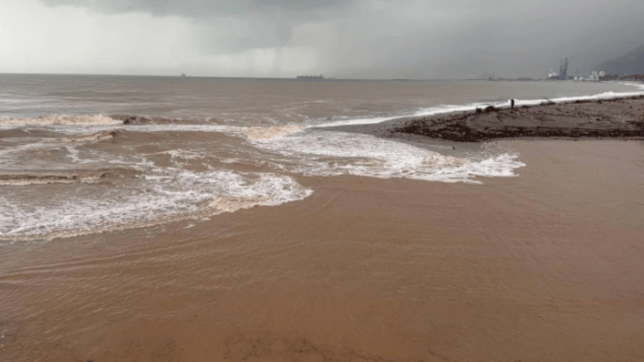 O ilimizde korkutan görüntü! Rengi kahverengiye döndü