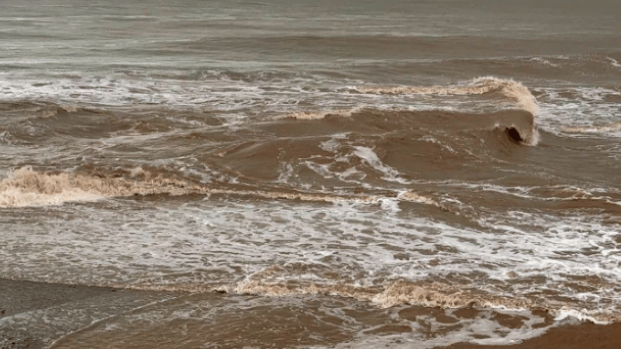 Foto - O ilimizde korkutan görüntü! Rengi kahverengiye döndü