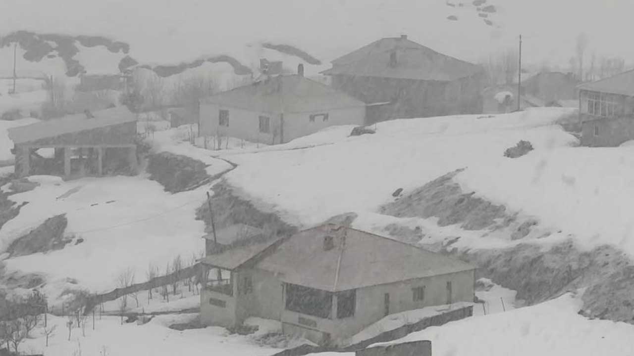 Foto - O ilimizde lapa lapa kar yağdı