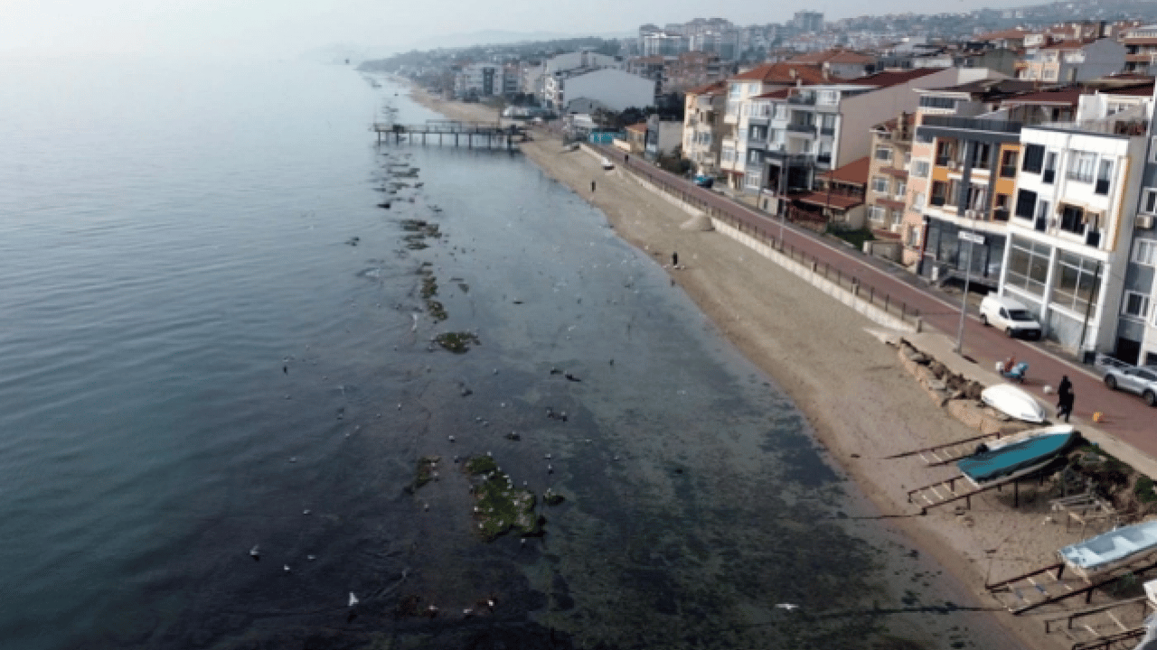 O ilimizde ortaya çıktı! Deniz 7 metre çekildi 'kral yolu' göründü