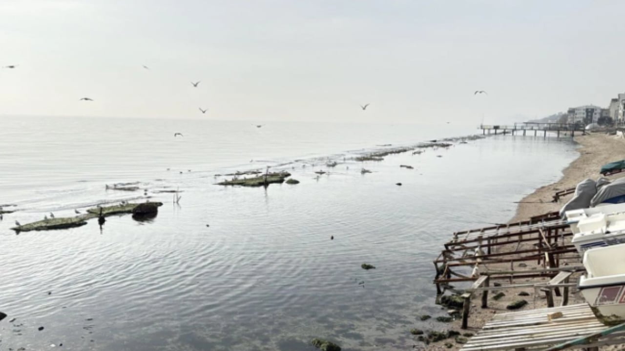 Foto - O ilimizde ortaya çıktı! Deniz 7 metre çekildi 'kral yolu' göründü