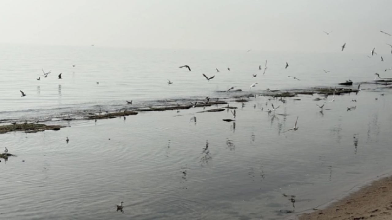 Foto - O ilimizde ortaya çıktı! Deniz 7 metre çekildi 'kral yolu' göründü