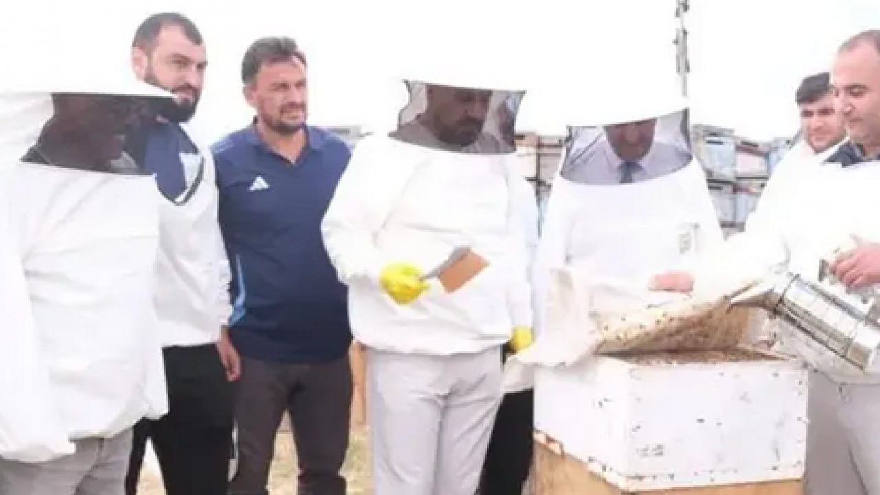 Foto - Müjde verildi: 'En İyi Bal' seçilecek... Yılın ilk hasadı başladı... Altın sarısı petekler görücüye çıktı!