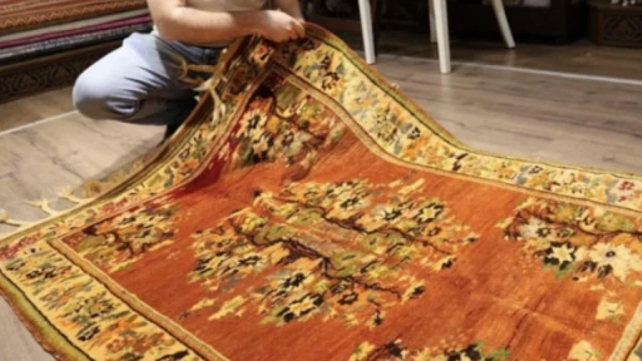 Foto - O kadar değerli ki sermeye kıyamıyor! Hepsini kasada saklıyor!