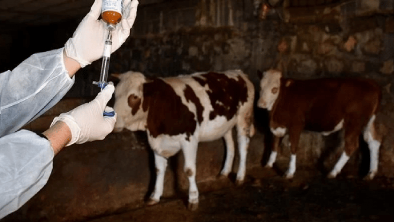 Foto - O kentte kırmızı alarm! 40 gün süreyle karantinaya alındı