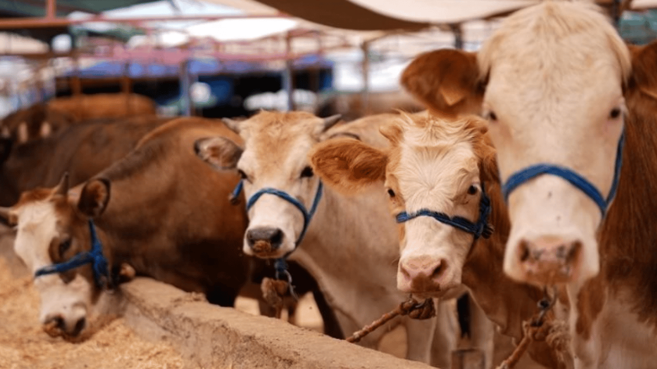 Foto - O kentte kırmızı alarm! 40 gün süreyle karantinaya alındı